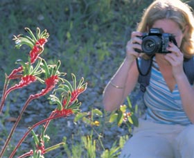 Kalamunda National Park - Tourism Adelaide 1