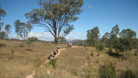 Kambah Pool To Pine Island - Tourism Adelaide 3