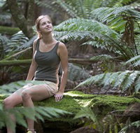 Barrington Tops National Park - Honeysuckle Forest Track - Tourism Adelaide