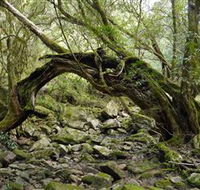 Mitchell River National Park - Tourism Adelaide