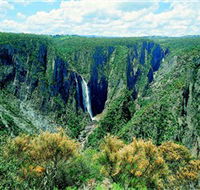 Wollomombi Falls - Tourism Adelaide
