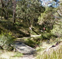 Wollomombi walking track - Tourism Adelaide