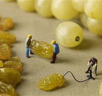 Hunter Valley Wine School - Tourism Adelaide