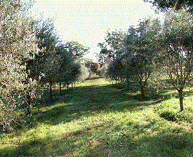 Langdale Farm - Tourism Adelaide