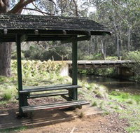 Barrington Tops State Forest - Tourism Adelaide
