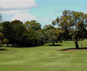 Cooma Golf Club - Tourism Adelaide 1