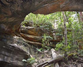 Cave Creek Walking Track - Tourism Adelaide 0