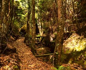 Cave Creek Walking Track - Tourism Adelaide 2