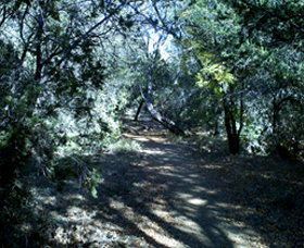 Cave Creek Walking Track - Tourism Adelaide 3