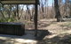 Cave Creek Walking Track - thumb 4