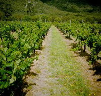 Gartelmann Wines - Tourism Adelaide