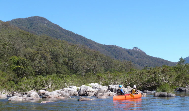 Washpool NSW Tourism Adelaide