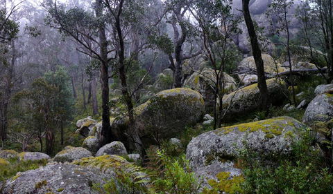 Cathedral Rock National Park - Tourism Adelaide 2