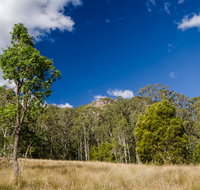 Brush Turkey track - Tourism Adelaide