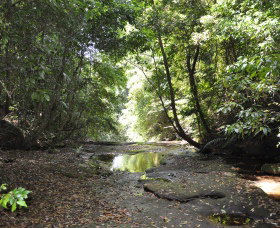 State Forests Of The Watagan Mountains - Tourism Adelaide 1