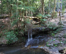 State Forests Of The Watagan Mountains - Tourism Adelaide 3