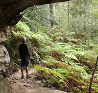 Dharug National Park - Tourism Adelaide