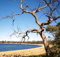 Lake Indoon - Tourism Adelaide