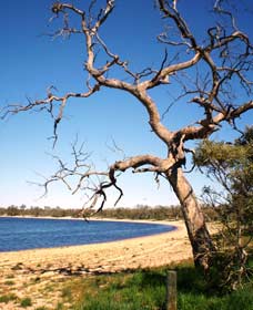 Lake Indoon - Tourism Adelaide 0