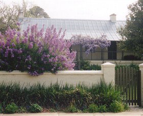 Lambie Town Walk - Tourism Adelaide 4