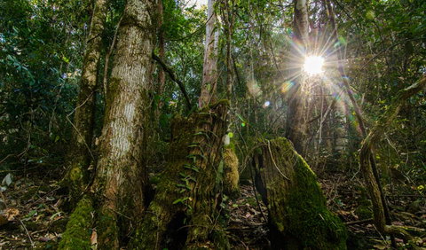Basin Loop Track - Tourism Adelaide 1