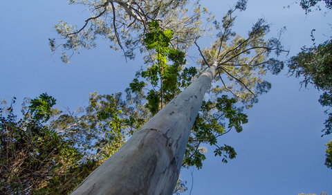 Basin Loop Track - Tourism Adelaide 2