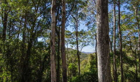 Basin Loop Track - Tourism Adelaide 3