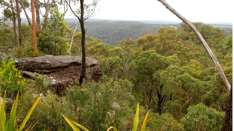 Popran National Park - Tourism Adelaide 3