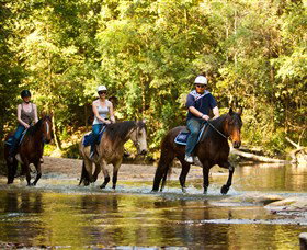 Glenworth Valley Outdoor Adventures - Tourism Adelaide 2