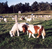 Trudgalong Farm - Tourism Adelaide