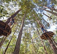 TreeTop Adventure Park Central Coast - Tourism Adelaide
