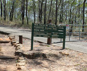 Wild Horse Mountain Lookout - Tourism Adelaide 0