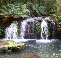 Barrington Tops National Park Walks - Tourism Adelaide