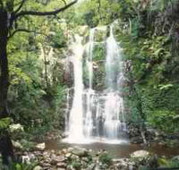Budderoo National Park - The Falls Walk - Tourism Adelaide