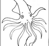 Squid Studio - Tourism Adelaide