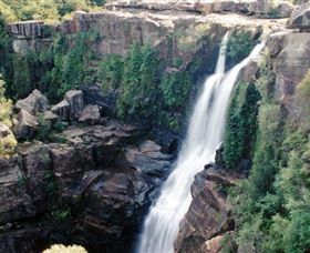 Minnamurra Rainforest Centre: Budderoo National Park - Tourism Adelaide 0