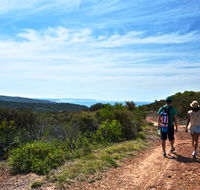 Moonee Beach trail - Tourism Adelaide