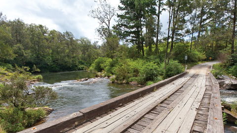 Nymboi-Binderay National Park - Tourism Adelaide 2