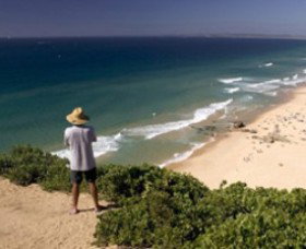 Redhead NSW Tourism Adelaide