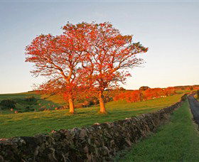 Saddleback Mountain Lookout - Tourism Adelaide 2