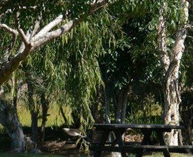 Mongogarie NSW Tourism Adelaide