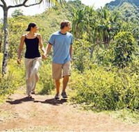 Hoddles Track - Tourism Adelaide