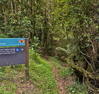 Red Cedar loop - Tourism Adelaide