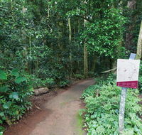 Walk with the Birds boardwalk - Tourism Adelaide