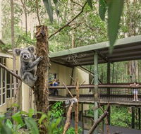 Daisy Hill Koala Centre - Tourism Adelaide