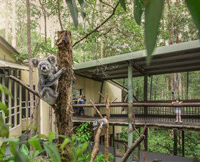 Daisy Hill Koala Centre - Tourism Adelaide 0