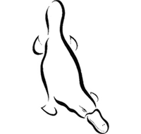 Platypus Gallery - Tourism Adelaide
