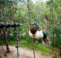 TreeTop Challenge - Tourism Adelaide