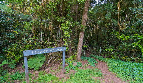 Falcorostrum Loop Walking Track - Tourism Adelaide 0