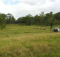 Numinbah Valley Adventure Trails - Tourism Adelaide